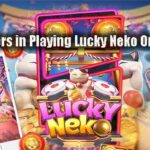Profit Offers in Playing Lucky Neko Online Slots